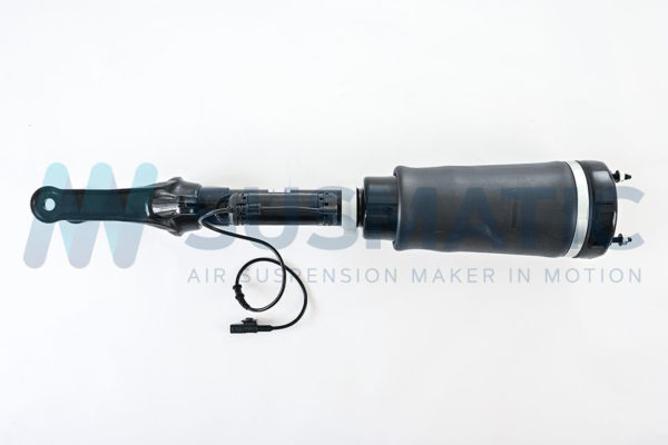 Air strut  Mercedes Benz R-Class Front left|Front right