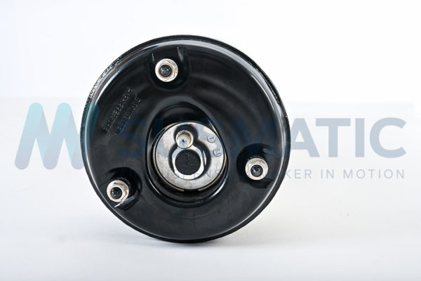 Air strut  Mercedes Benz CL-Class Rear left